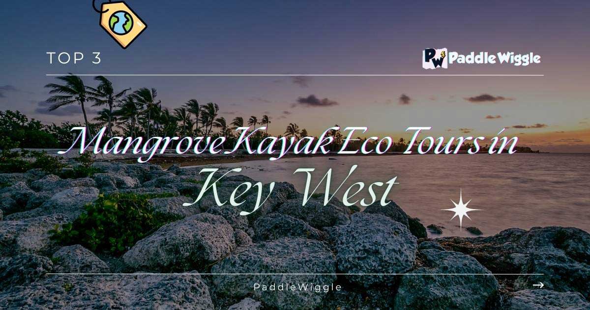 Overview of mangrove kayak eco tours in Key West.