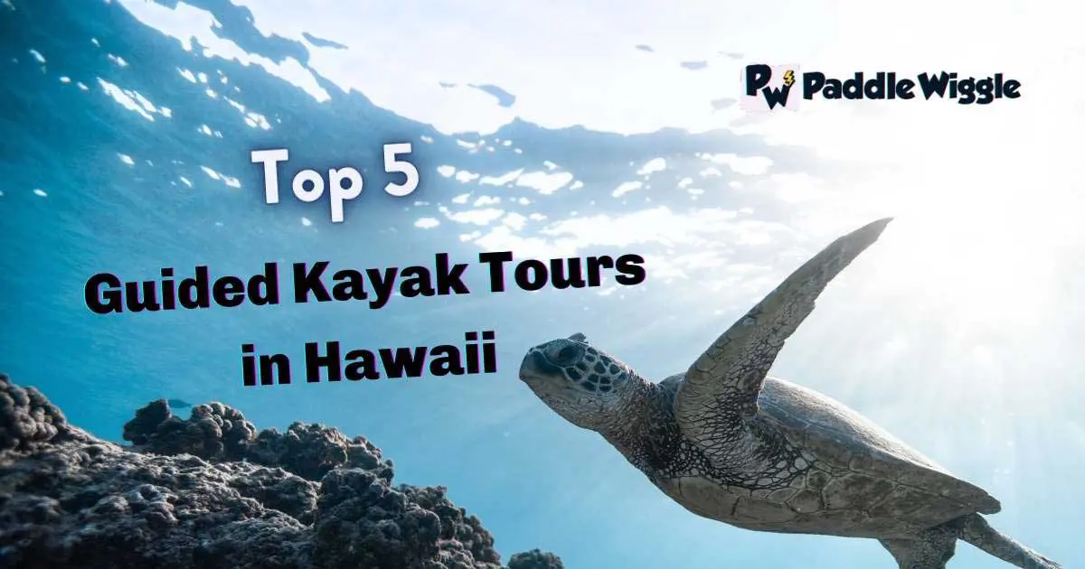 Overview of top guided kayak tours in Hawaii.