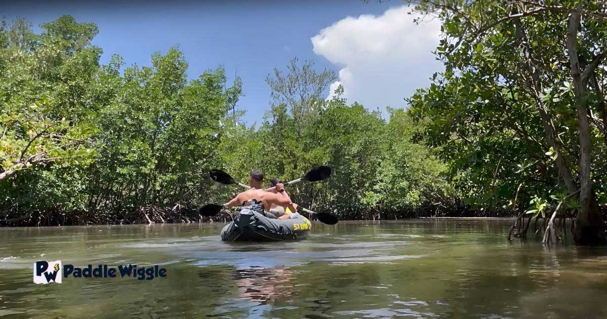 Exploring best kayaking spots for nature lovers in Florida.