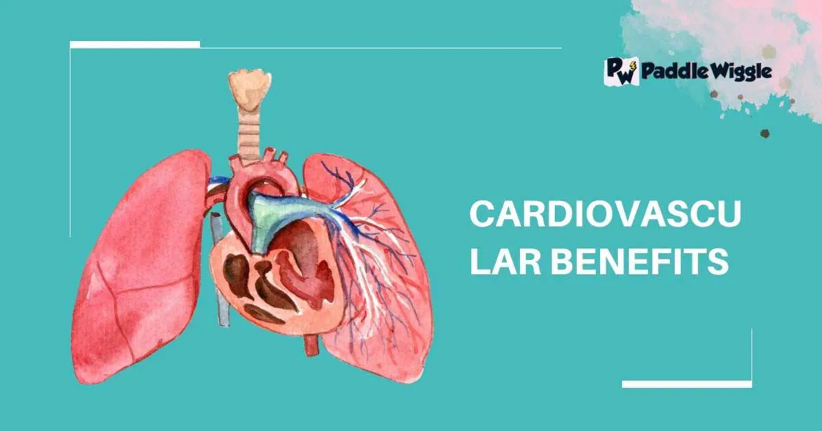 Explaining cardiovascular benefits of kayaking.