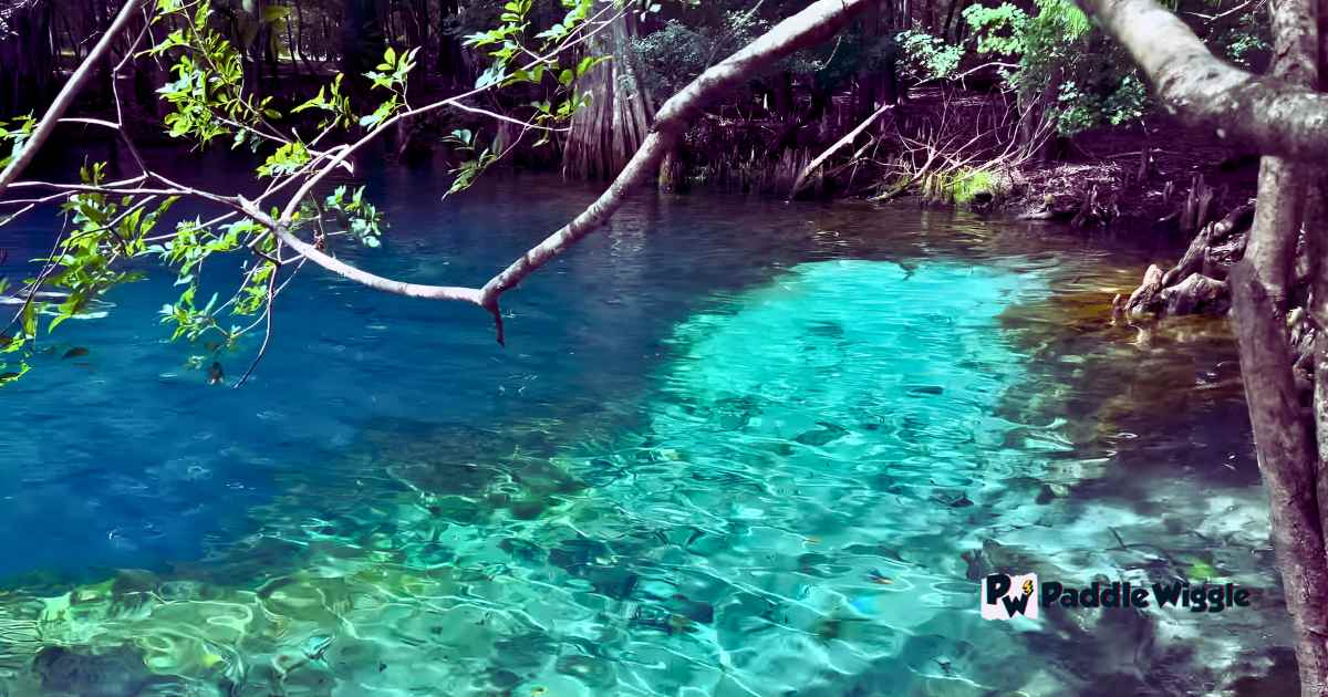 Crystal clear waters at Homosassa Springs Wildlife State Park.