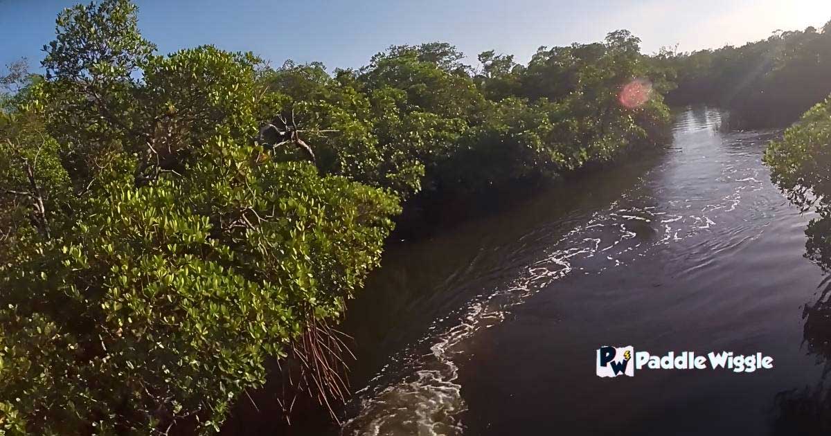 Kayaking on the Ten Thousand Islands National Wildlife Refuge in Florida.
