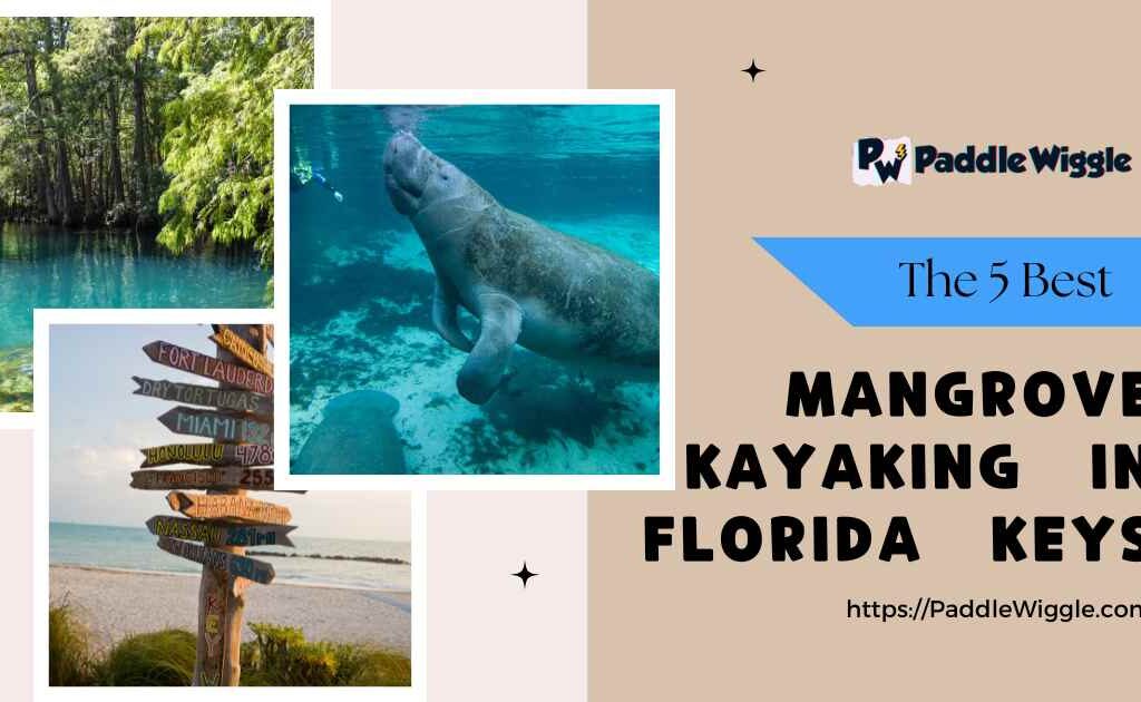 Exploring the 5 best mangrove kayaking spots in the Florida Keys.