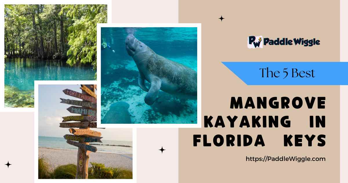 Exploring the 5 best mangrove kayaking spots in the Florida Keys.