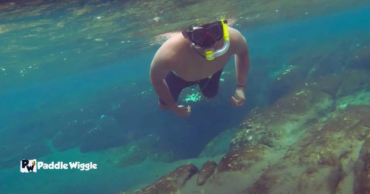 Snorkeling and kayaking on the Three Sisters Springs in Florida.