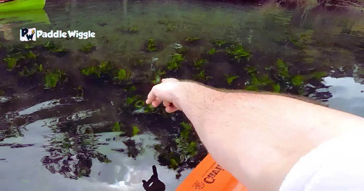 Fishing and Kayaking in Florida's Wekiwa Springs.