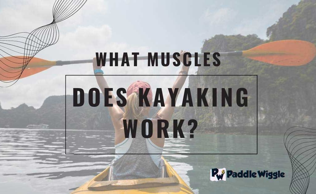 What muscles does kayaking work, Body Muscles Work in Kayaking, Upper Body Muscles work in Kayaking, Core Muscles work in Kayaking, Kayaking for Muscle Development