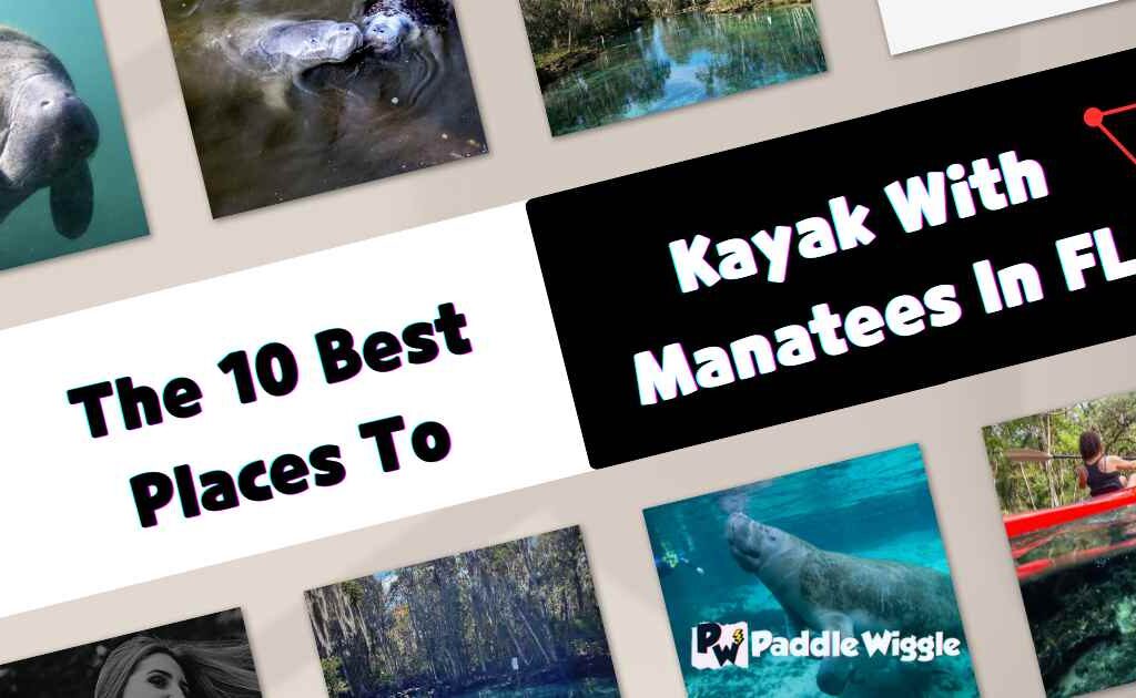 Exploring The 10 Best Places To Kayak With Manatees In Florida.