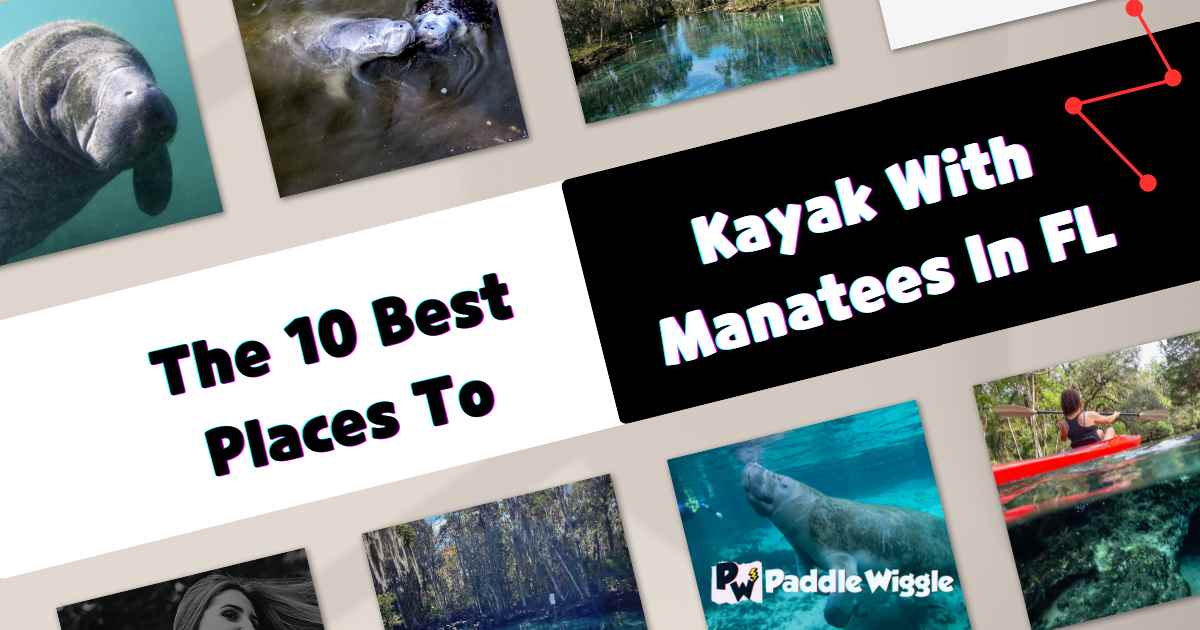 Exploring The 10 Best Places To Kayak With Manatees In Florida.