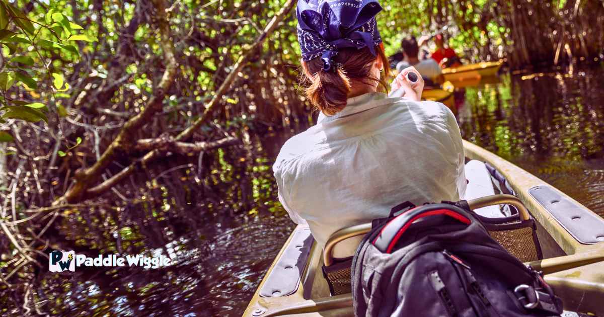 Mangrove kayaking in Key West Florida.