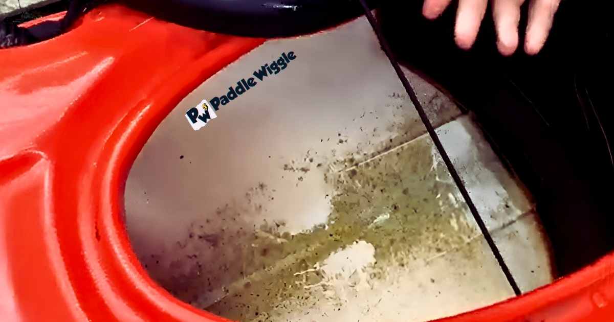 Different algae stains on a kayak.