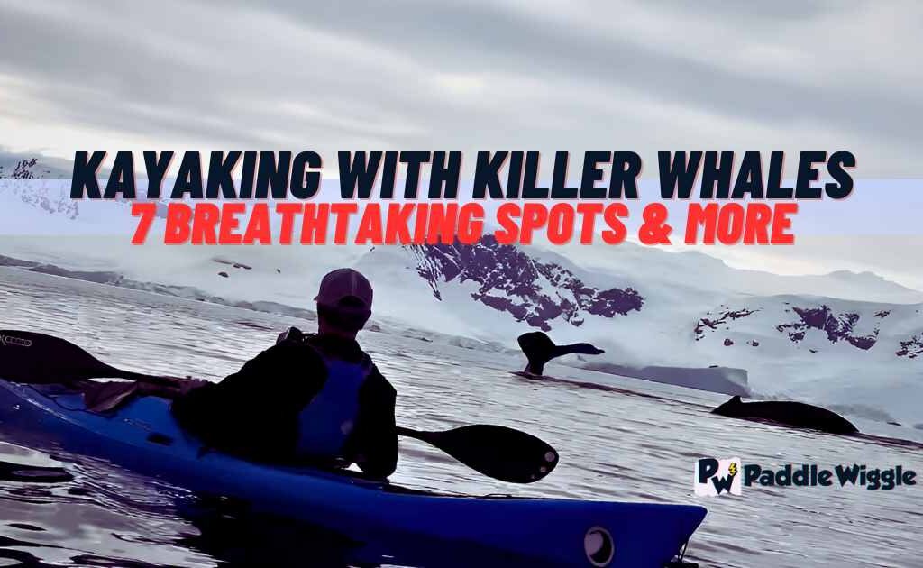 Exploring Best Places to Go Kayaking With Killer Whales/Orcas.