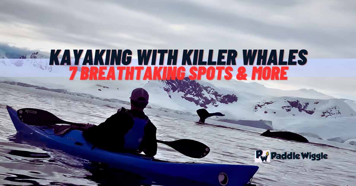 Exploring Best Places to Go Kayaking With Killer Whales/Orcas.