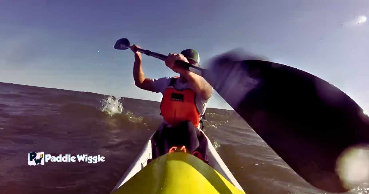 Wing blades of a kayak paddle