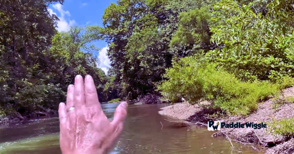 Harpeth River Kayaking In Middle Tennessee