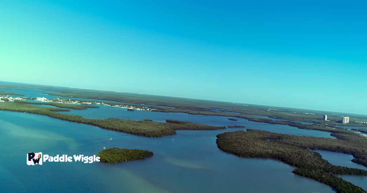 Kayaking The Marco Island Florida