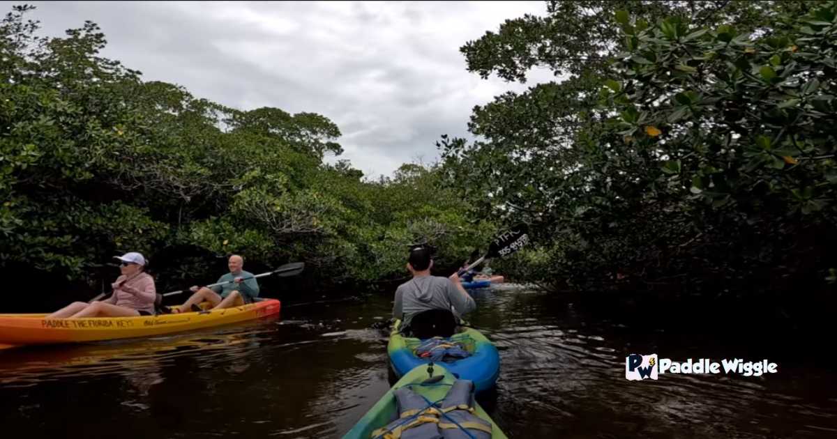 Key Largo Mangroves