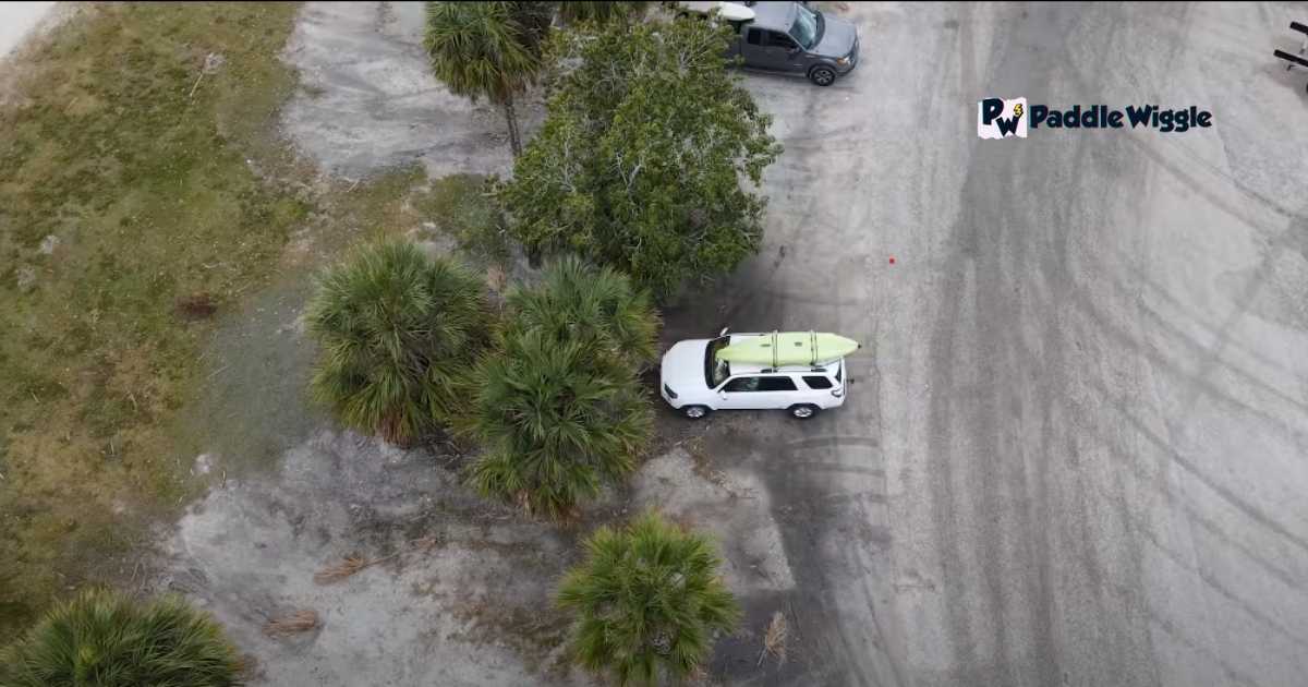 North Florida Mangrove Explorations