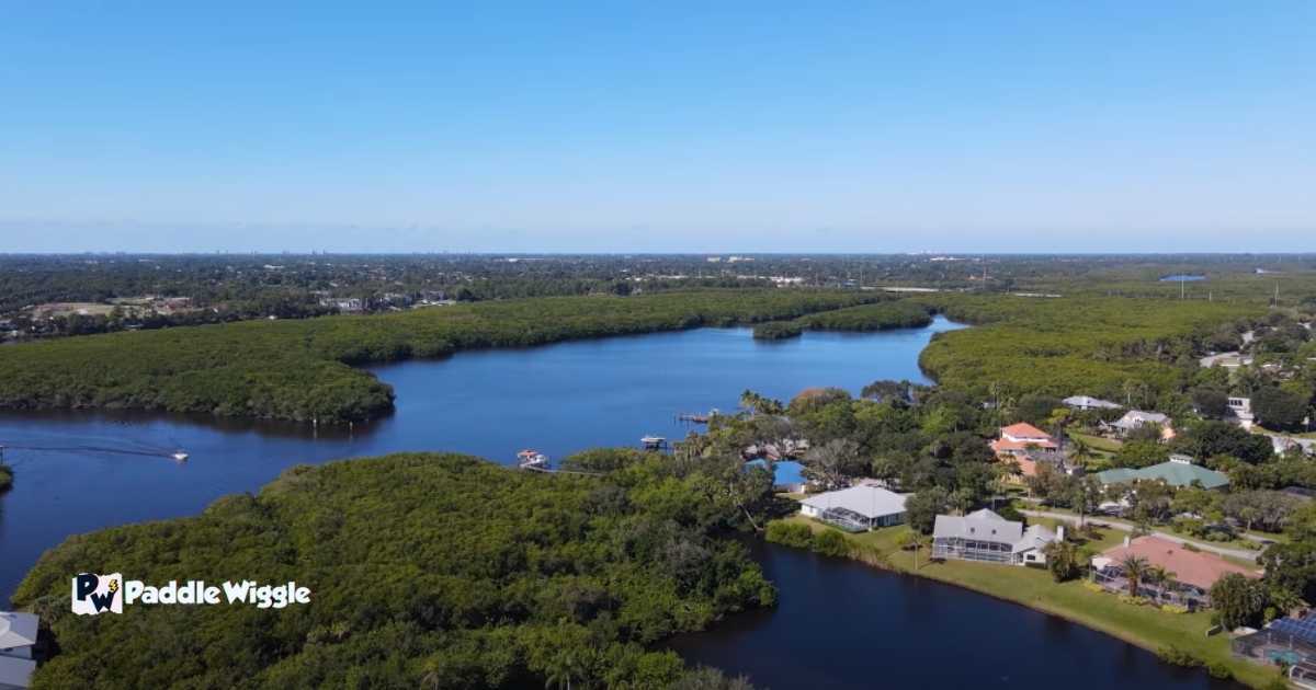 stunning scenery of the mangroves